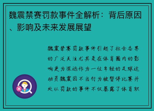 魏震禁赛罚款事件全解析：背后原因、影响及未来发展展望
